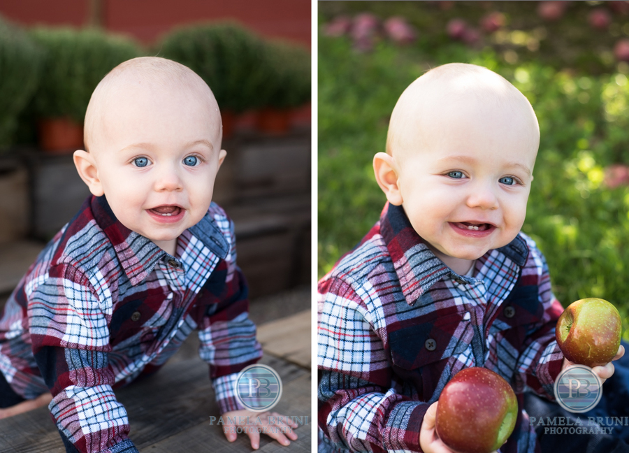 Baby portrait at Apple Orchard for Fall